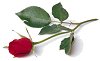 testez votre profil d'amour