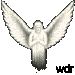 teste o seu anjo da guarda !