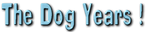 How old am I in dog years, how old is my dog in person-years ?