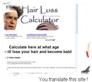 Thanks for translating this site !