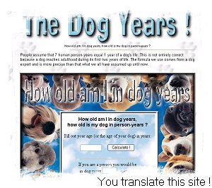 Thanks for translating this site !