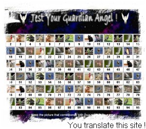 Thanks for translating this site !